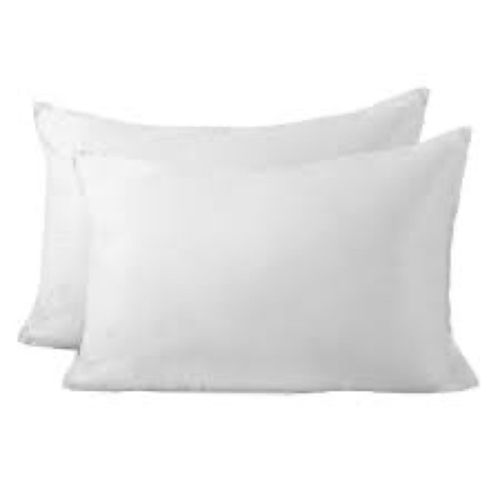2 Used Standard Target Pillows